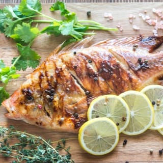 Atlantic White Fish